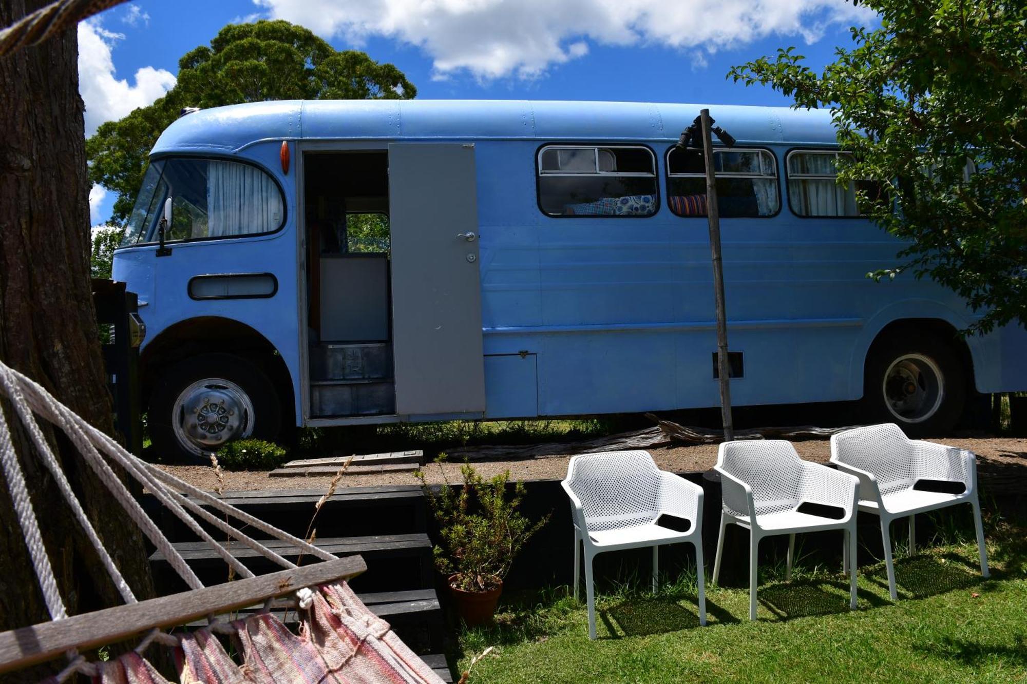 Evi The School Bus At Oromahoe Downs Farm Puketona Exteriör bild