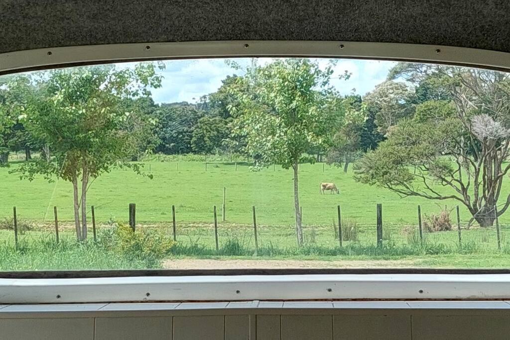 Evi The School Bus At Oromahoe Downs Farm Puketona Exteriör bild
