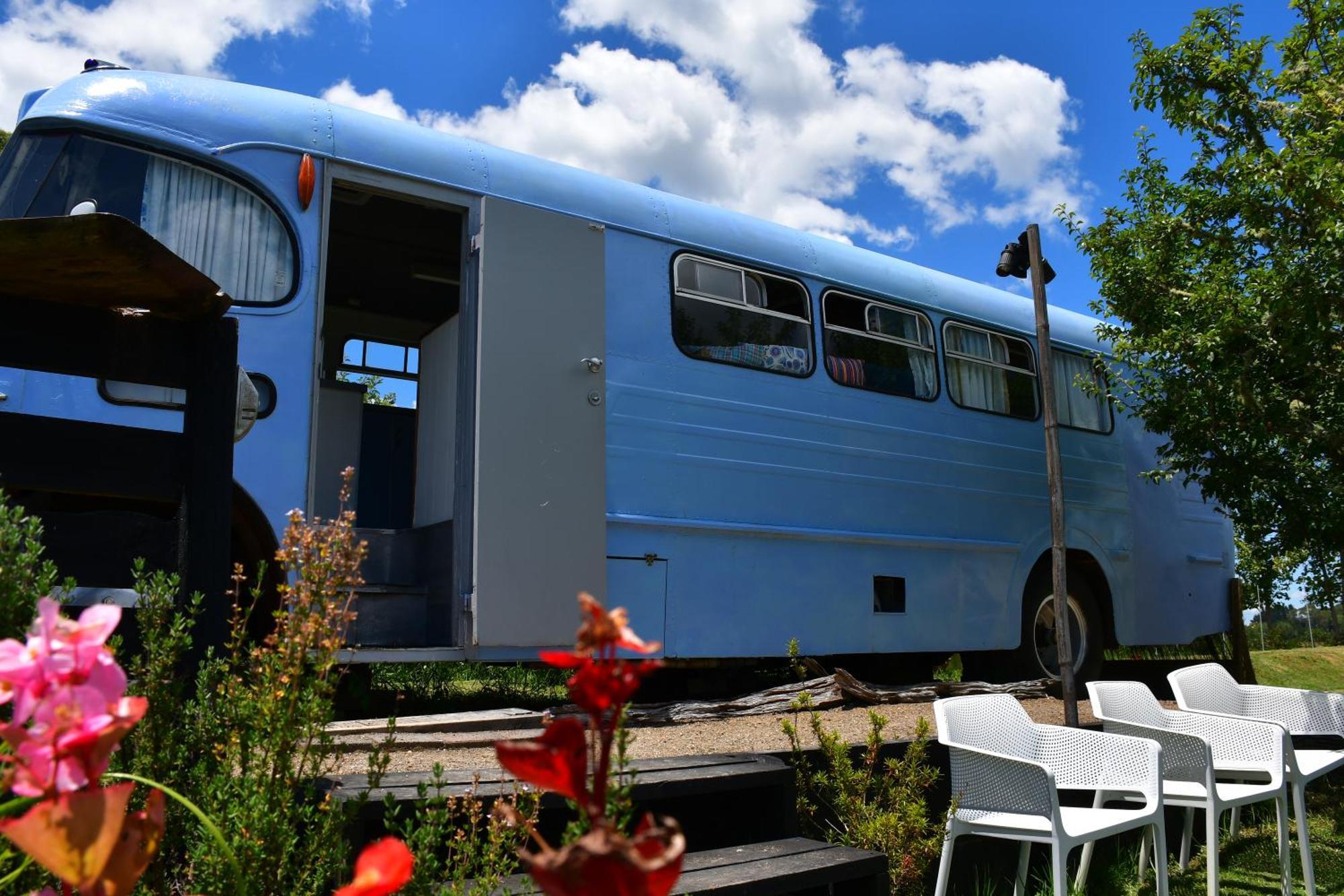 Evi The School Bus At Oromahoe Downs Farm Puketona Exteriör bild